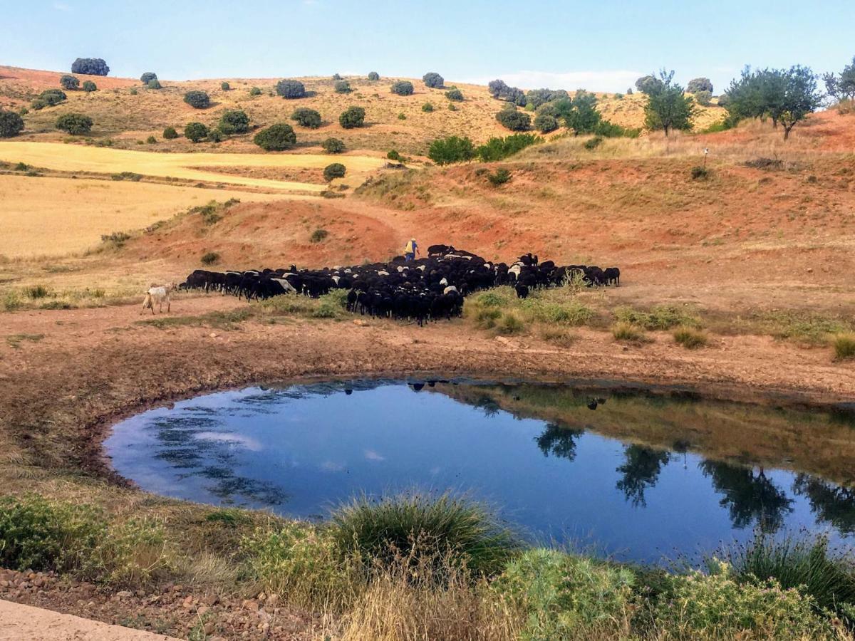 Apartamento Rural La Cascada De Calmarza Εξωτερικό φωτογραφία