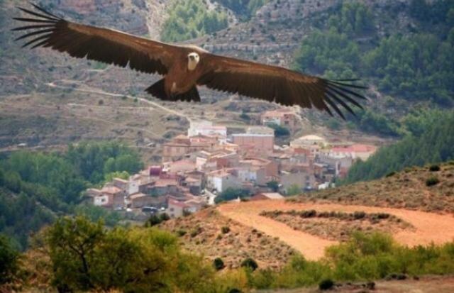 Apartamento Rural La Cascada De Calmarza Εξωτερικό φωτογραφία