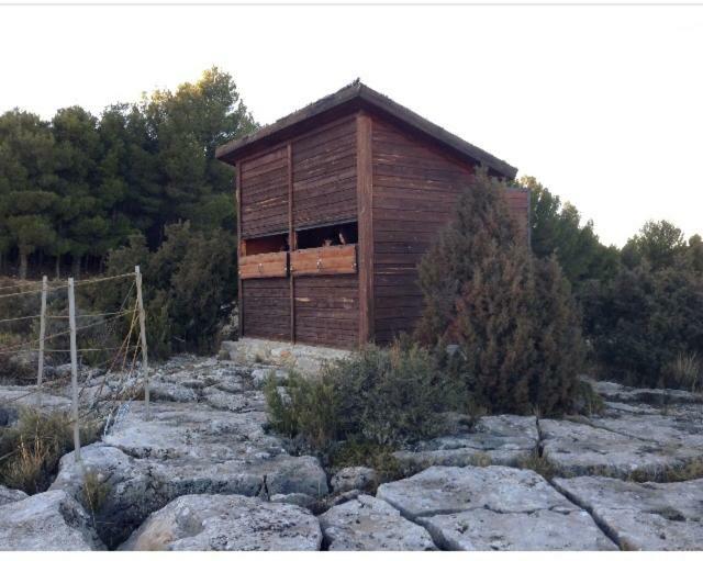 Apartamento Rural La Cascada De Calmarza Εξωτερικό φωτογραφία